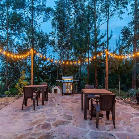 Terra Luna Glamping 派帕 外观 照片