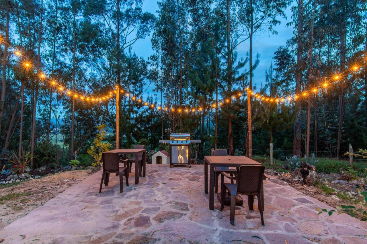 Terra Luna Glamping 派帕 外观 照片